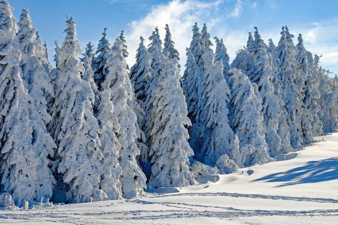 В Тульской области прогнозируют морозы до -15 градусов